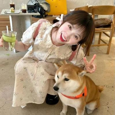 亲爱的隐居先生